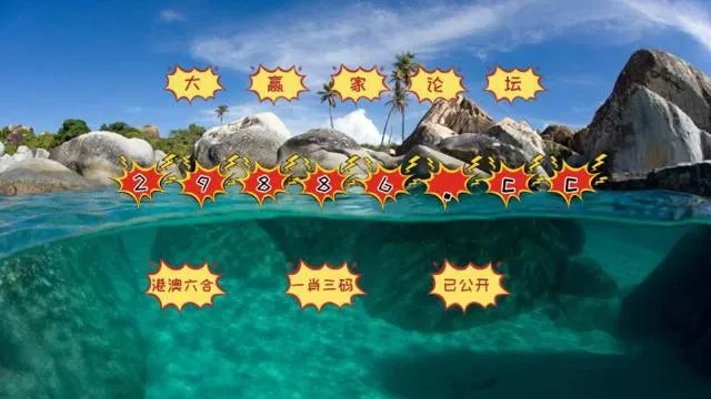 正版澳门二四六天天彩牌凤凰网|探索新兴科技的无限可能_弹性款.6.315