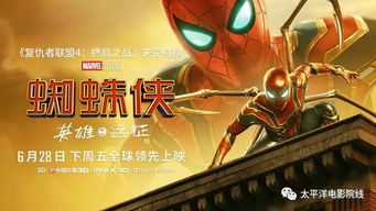 飞天蜘蛛英雄下载安卓-飞天蜘蛛英雄2024最新版本下载v.6.35